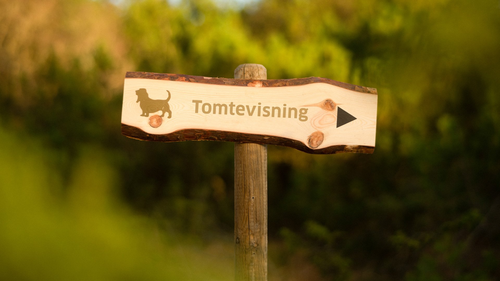 Visning i Skogens ro