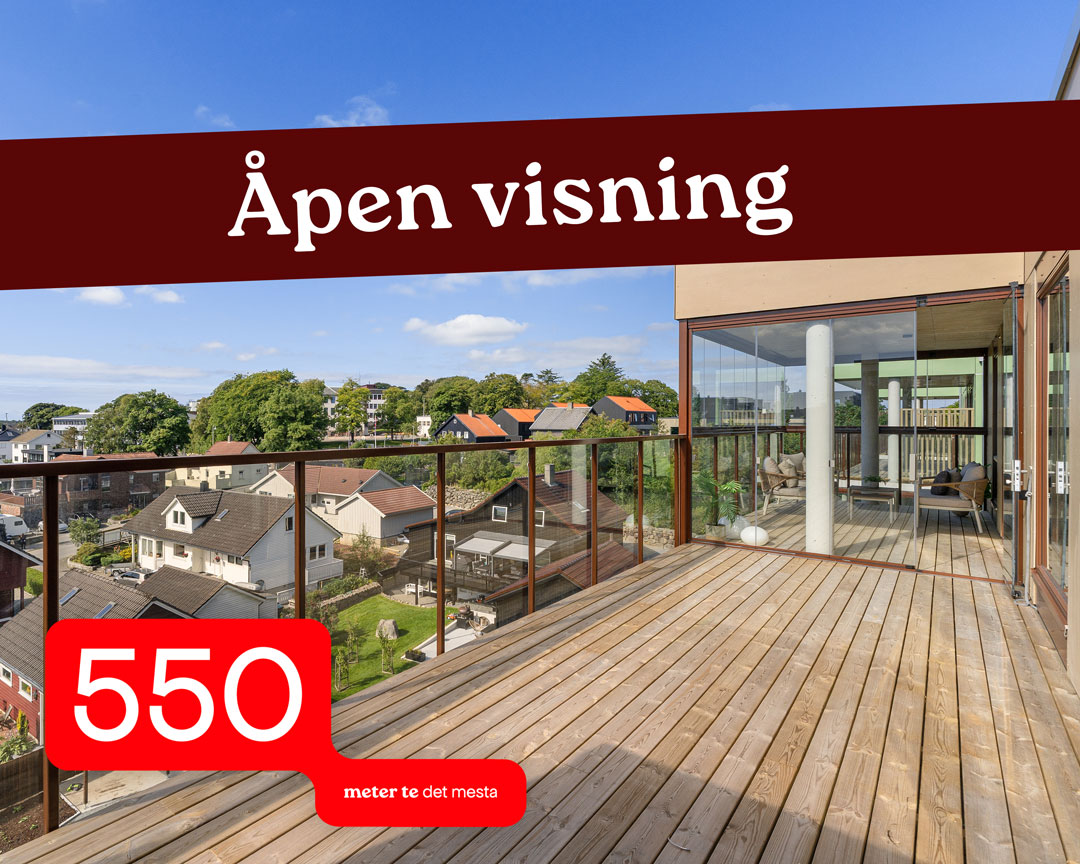 550_apen-visning