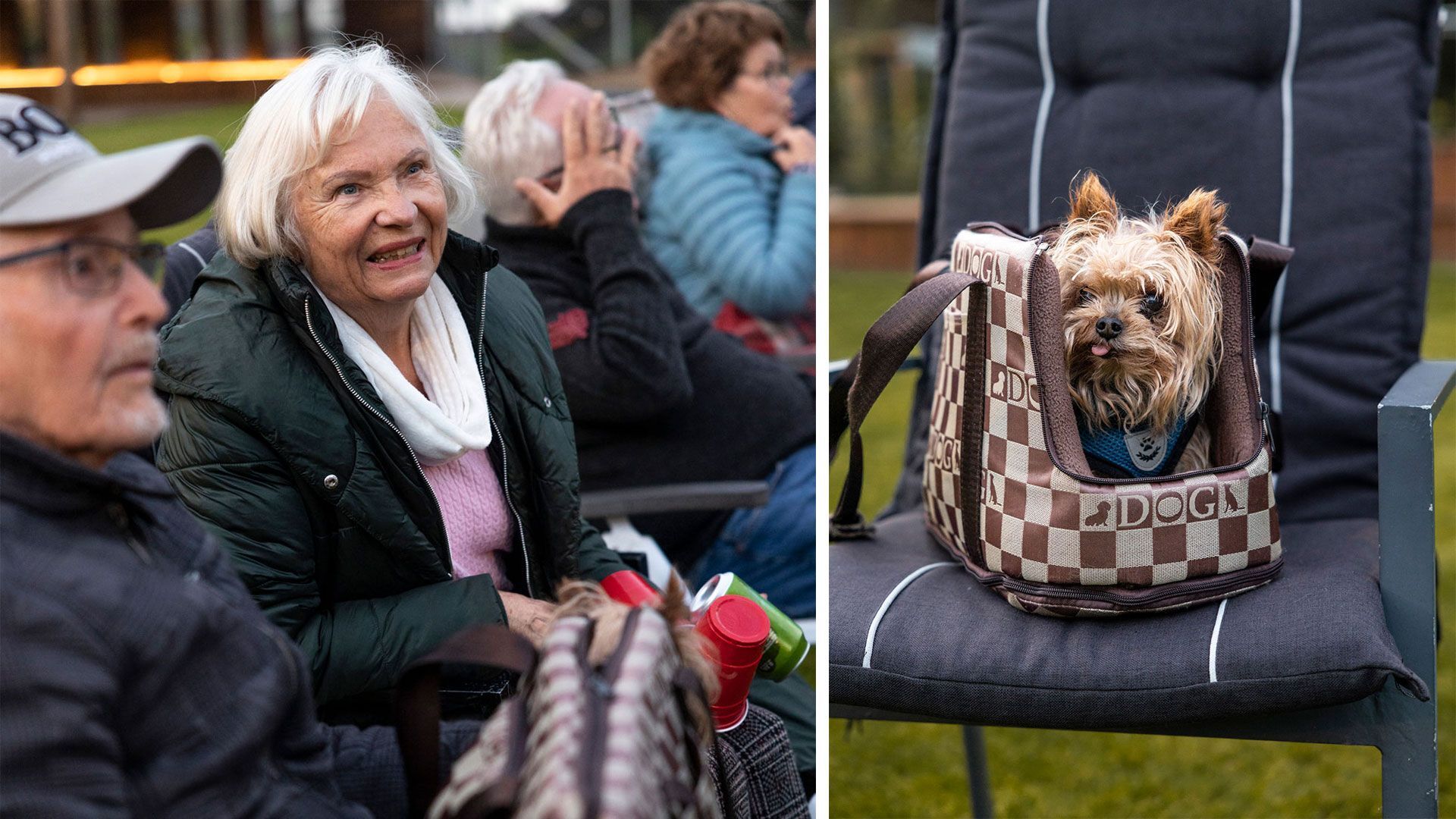 Ragnhild Gjeldsten er på utekino sammen med hunden sin. 